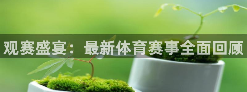 意昂平台登陆：观赛盛宴：最新体育赛事全面回顾