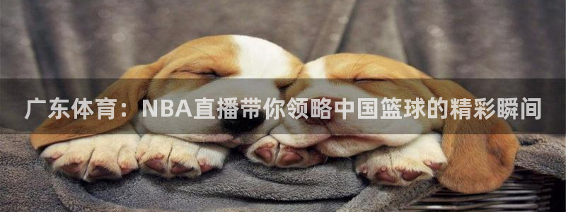 意昂平台主管：广东体育：NBA直播带你领略中国篮球的精彩瞬间