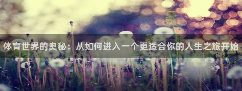 体育世界的奥秘：从如何进入一个更适合你的人生之旅开始