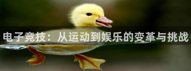 电子竞技：从运动到娱乐的变革与挑战