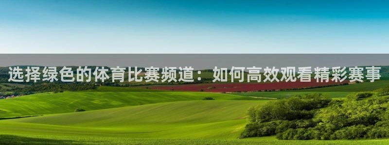 选择绿色的体育比赛频道：如何高效观看精彩赛事