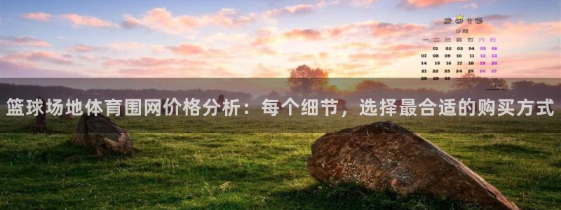 篮球场地体育围网价格分析：每个细节，选择最合适的购买方式