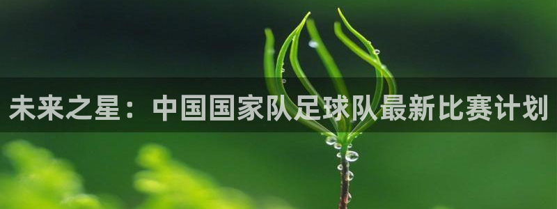 未来之星：中国国家队足球队最新比赛计划