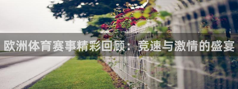 意昂2平台登录：欧洲体育赛事精彩回顾：竞速与激情的盛宴