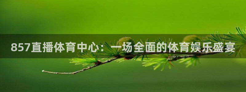 意昂体育注册：857直播体育中心：一场全面的体育娱乐盛宴