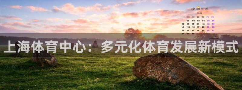 意昂能源：上海体育中心：多元化体育发展新模式
