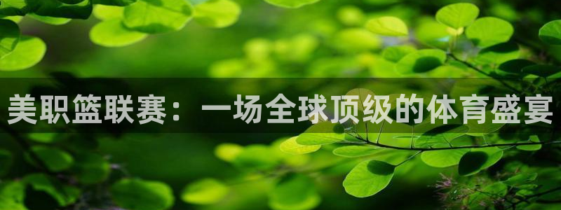 意昂3平台注册：美职篮联赛：一场全球顶级的体育盛宴